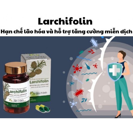 Larchifolin для иммунитета