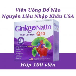 Препарат Ginkgo Natto With Coenzym Q10